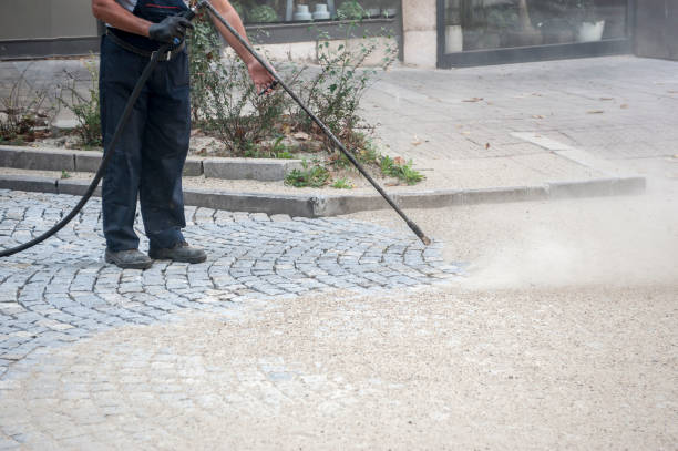 Best Pre-Holiday Cleaning  in North Vacherie, LA